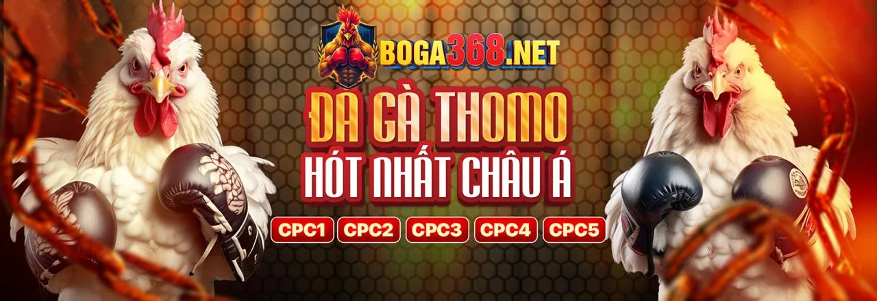 Tổng quan về các phương thức thanh toán tại 789wim casino
